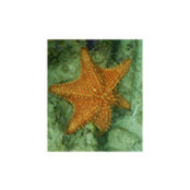 Teresa Schaefer's photo