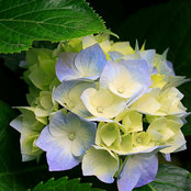 Kerri Melville's photo
