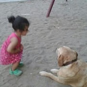 Masa Al-khatib's photo