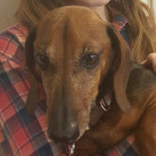 Foto von E. Smith