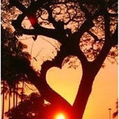 Karen Siler's photo