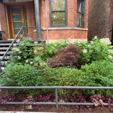 Fine Tuning an Established Garden