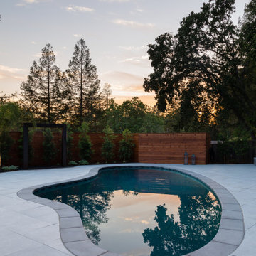 Zen Pool Garden