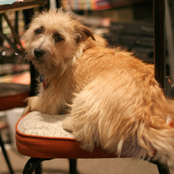 "at the shop" photos - Home Decor