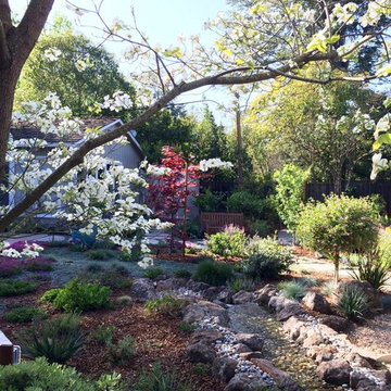 Redwoods set the stage in Menlo Park