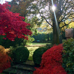 Autumn Nest Swing - Swings & Playsets