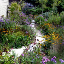 Landscape Ideas