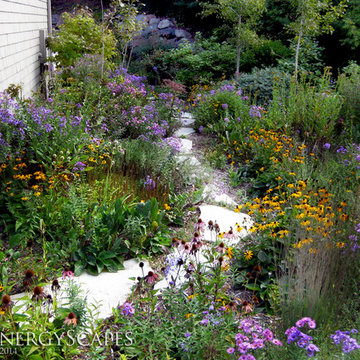 Native Gardens