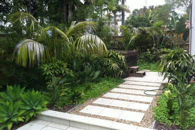 This is an example of a tropical garden in Sydney.