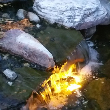 Outdoor Pond Oasis