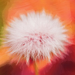 Fine Art Photography - Digital paintings - Products