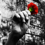 Foto von Vanessa Nunes