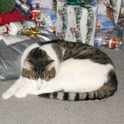 Rochelle Todd's photo