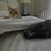 James Jennison's photo