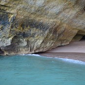 Vera Cunha's photo
