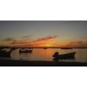 Ala Landi's photo