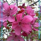 MeLissa Edgington's photo