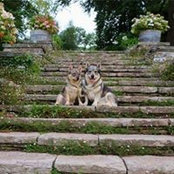 Foto von Debbie Howe