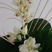 Mona Kusi's photo