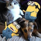 Lisa Potato's photo