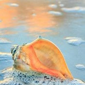 Hale Ersen's photo