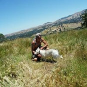 Pablo Lobato's photo