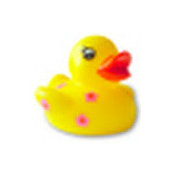 Diana Kluger's photo