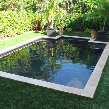Contemporary Swimming Pool With Disappearing Spa - Shutowick