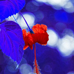 Fine Art Photography - Digital paintings - Products
