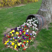 Planter
