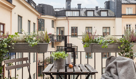 Expertens råd: Så får du balkonglådan att blomma länge och fint