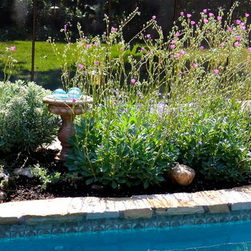 Planting Design