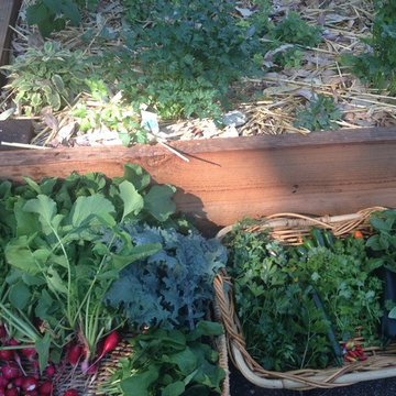 ebay, inc. Corporate Vegetable Garden Installation & Employee Garden Education