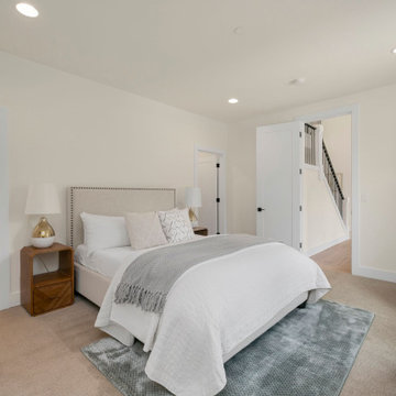 Harlow | Bellevue
