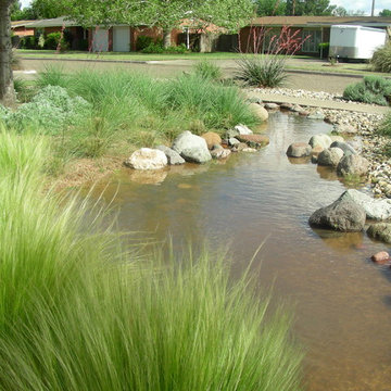 Arroyo Garden