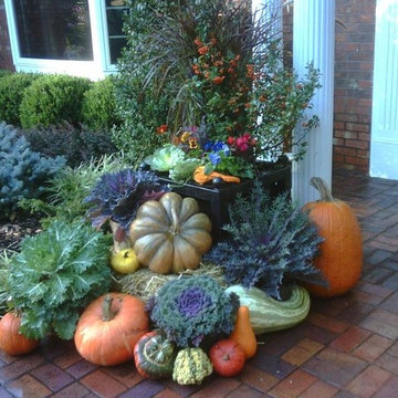 Fall display