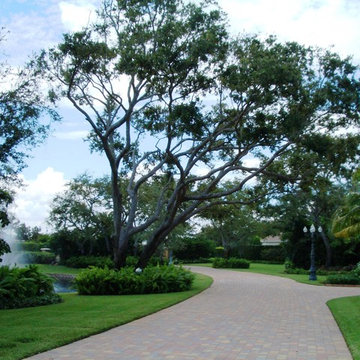 Drive way