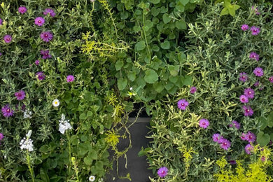 Une belle association : Mur végétal et fontaine