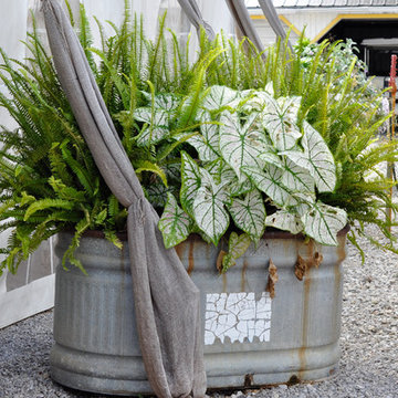 CONTAINERS