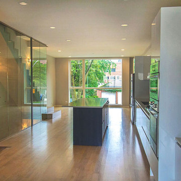 West Town Net Zero Homes