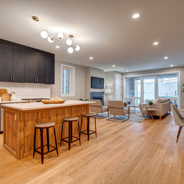 2448 W Diversey - New Construction Development
