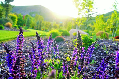 Inspiration for a traditional landscaping in Salt Lake City.