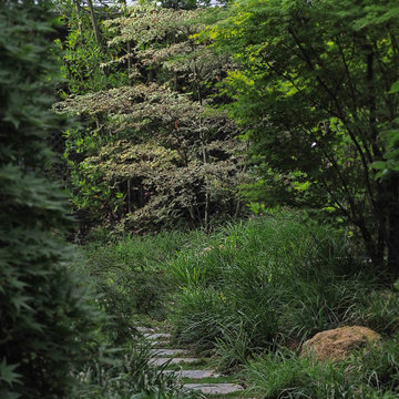 Un parc à l'Anglaise