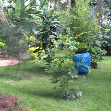 westlands maissonetes