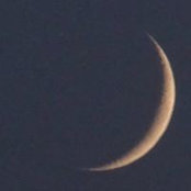 Sue Schreiber's photo