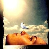 Katya Grife's photo