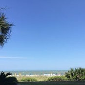 Donna Wray's photo