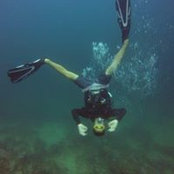 Karl Murphy's photo