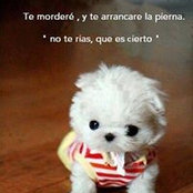 Enrique Sueros foto