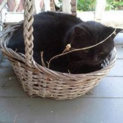 Janene Charbeneau's photo